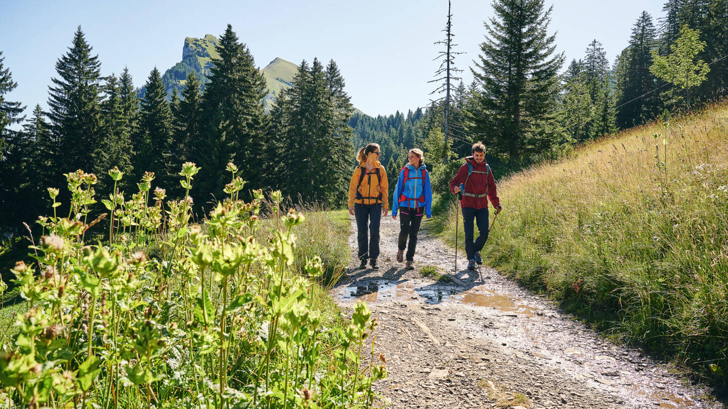 Wandern zwischen Bergstation Mellaubahn und Alpe Kanis (c) Alex Kaiser - Bregenzerwald Tourismus