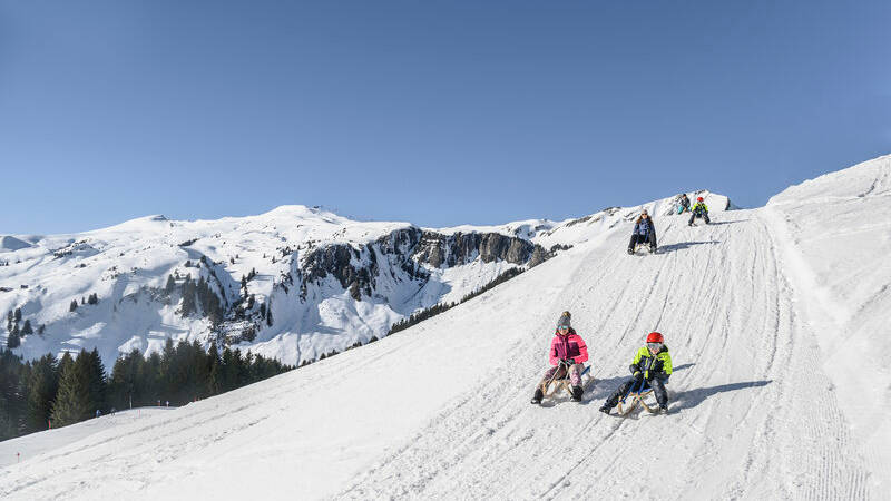 Rodeln in Damüls (c) Patrick Saley Photography - Damüls Faschina Tourismus [Webqualität]