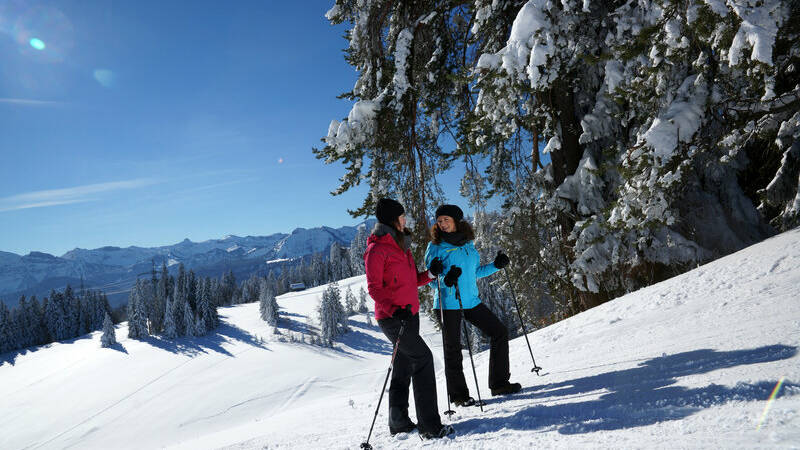 Winterwandern am Br++ggelekopf in Alberschwende (c) Ludwig Berchtold - Bregenzerwald Tourismus