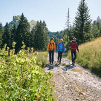 Wandern zwischen Bergstation Mellaubahn und Alpe Kanis (c) Alex Kaiser - Bregenzerwald Tourismus