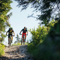 Mountainbiken zwischen Bergstation Mellaubahn und Alpe Kanis (c) Sebastian Stiphout - Bregenzerwald Tourismus [Webqualität]