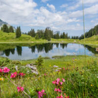 K+Ârbersee (c) Ratko Medienagentur - Warth-Schr+Âcken Tourismus