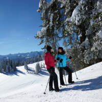 Winterwandern am Br++ggelekopf in Alberschwende (c) Ludwig Berchtold - Bregenzerwald Tourismus