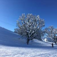 IMG-20210121-WA0008