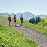 Wandern beim Stoggersattel in Au (c) Alex Kaiser - Bregenzerwald Tourismus