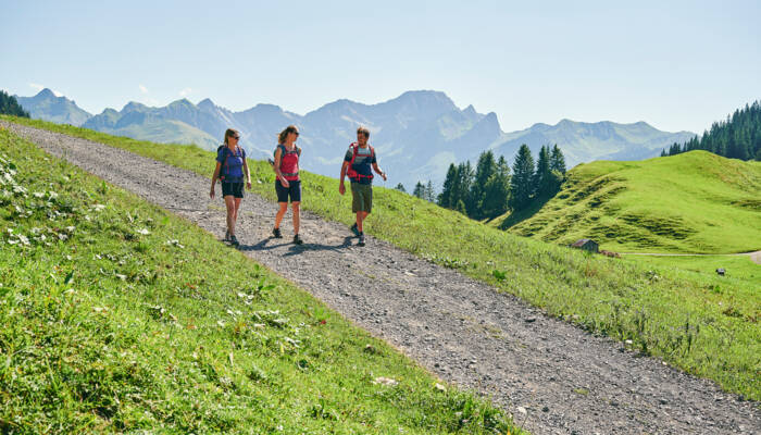 Wandern beim Stoggersattel in Au (c) Alex Kaiser - Bregenzerwald Tourismus